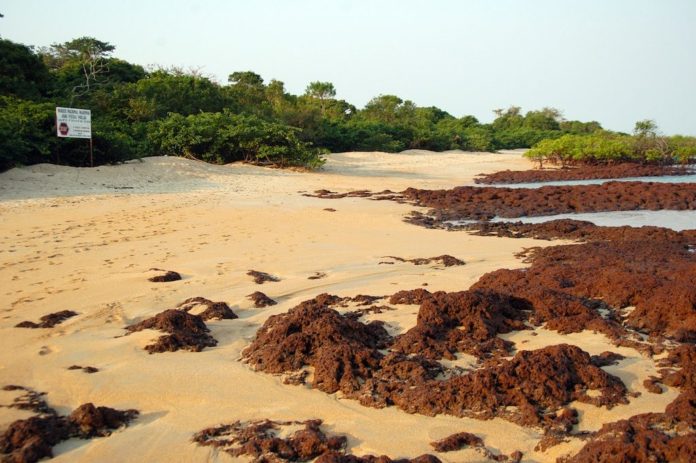 nationaal park Poilao Guinee-Bissau