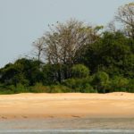 nationaal park Poilao Guinee-Bissau