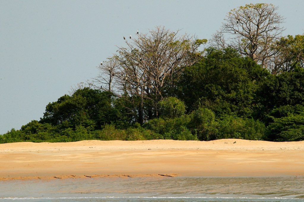 nationaal park Poilao Guinee-Bissau