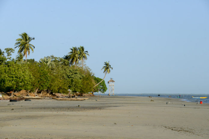 Zeekoeien Pointe Saint-Georges