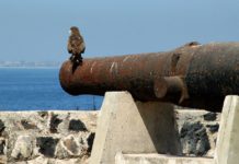 Voormalig slaveneiland Ile de Gorée Fort d’Estrées op Ile de Gorée.