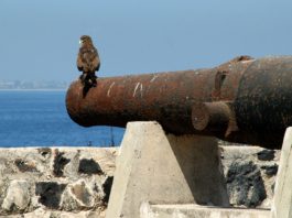 Voormalig slaveneiland Ile de Gorée Fort d’Estrées op Ile de Gorée.
