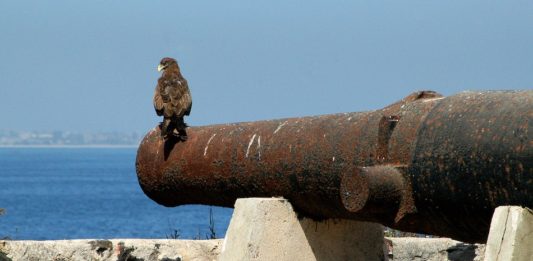 Voormalig slaveneiland Ile de Gorée Fort d’Estrées op Ile de Gorée.