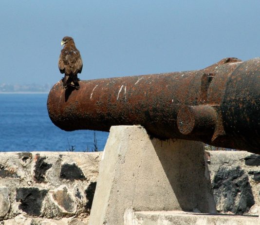 Voormalig slaveneiland Ile de Gorée Fort d’Estrées op Ile de Gorée.