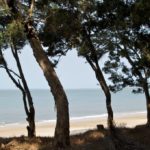 Strand Varela Guinee-Bissau