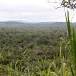 Vista_from_Karangia_Trail_Outamba_Kilimi_Park