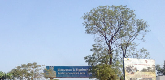 Ziguinchor is de poort naar het exotische Casamance Ziguinchor Casamance Senegal
