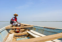 Dolfijnen spotten bij Ziguinchor Casamance rivier Ziguinchor Senegal