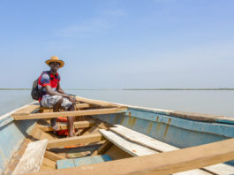 Dolfijnen spotten bij Ziguinchor Casamance rivier Ziguinchor Senegal