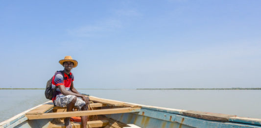 Dolfijnen spotten bij Ziguinchor Casamance rivier Ziguinchor Senegal