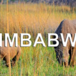 Zimbabwe