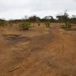 Boé Ché Ché Guinee Bissau