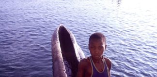 Lake Malawi, meer van de sterren Kano Malawimeer malawi