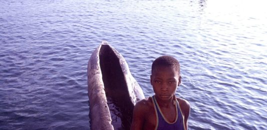 Lake Malawi, meer van de sterren Kano Malawimeer malawi