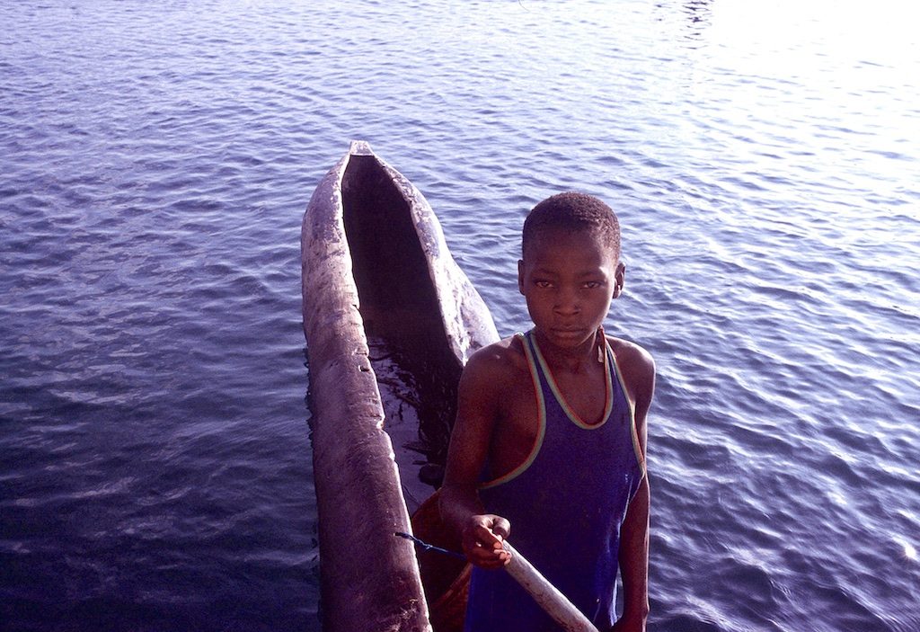 Kano Malawimeer malawi
