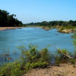 niokolo koba nationaal park Senegal