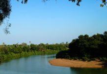 Speuren naar wild in Niokolo Koba niokolo koba nationaal park Senegal