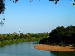 Speuren naar wild in Niokolo Koba niokolo koba nationaal park Senegal