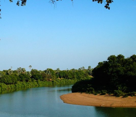 Speuren naar wild in Niokolo Koba niokolo koba nationaal park Senegal