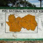 niokolo koba nationaal park Senegal