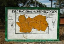 De Nationale parken van Senegal niokolo koba nationaal park Senegal