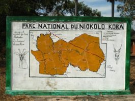 De Nationale parken van Senegal niokolo koba nationaal park Senegal
