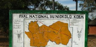 De Nationale parken van Senegal niokolo koba nationaal park Senegal