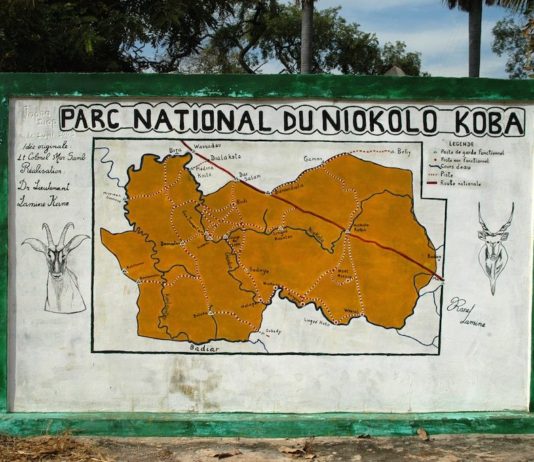 De Nationale parken van Senegal niokolo koba nationaal park Senegal