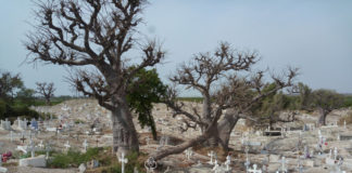 Joal-Fadiouth een eiland van schelpen Begraafplaats Joal-Fadiouth Senegal
