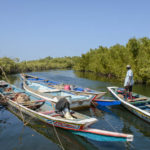Boottocht Sine Saloum Delta Senegal