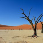 Dodevlei Deadvlei Namibië