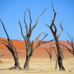 Dodevlei Deadvlei Namibië