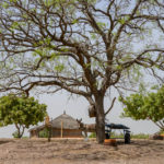 Ezelkar Sipo Sine Saloum Delta Senegal