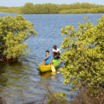 Kayak Sine Saloum Delta Senegal-1