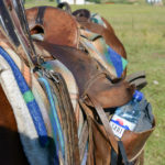 Khotso paardrijden Sehlebathebe Lesotho