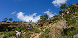 In galop door nationaal park Sehlebathebe Khotso paardrijden Sehlebathebe Lesotho