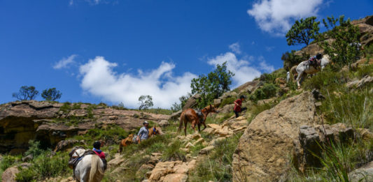 In galop door nationaal park Sehlebathebe Khotso paardrijden Sehlebathebe Lesotho