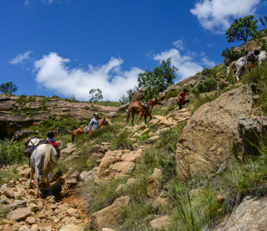 In galop door nationaal park Sehlebathebe Khotso paardrijden Sehlebathebe Lesotho
