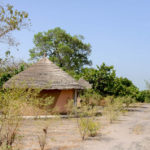 Missirah Sine Saloum Delta Senegal