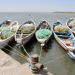Missirah Sine Saloum Delta Senegal