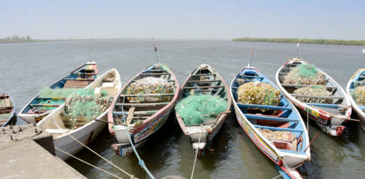 Vissersdorpje Missirah Missirah Sine Saloum Delta Senegal