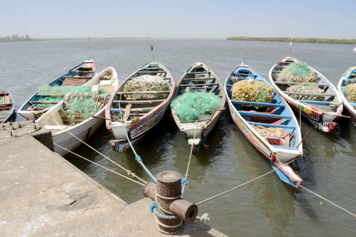 Missirah Sine Saloum Delta Senegal