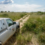 Selfdrive safari Khutse Botswana
