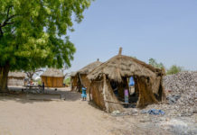 De Sine Saloum Delta is de Amazone van Afrika Sipo Sine Saloum Delta Senegal-1