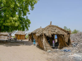 De Sine Saloum Delta is de Amazone van Afrika Sipo Sine Saloum Delta Senegal-1