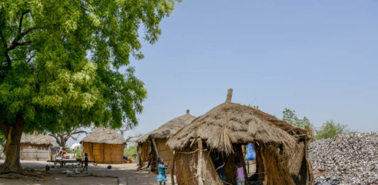 De Sine Saloum Delta is de Amazone van Afrika Sipo Sine Saloum Delta Senegal-1