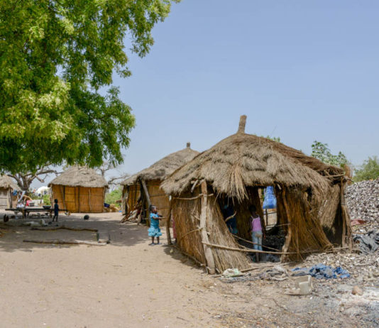 De Sine Saloum Delta is de Amazone van Afrika Sipo Sine Saloum Delta Senegal-1