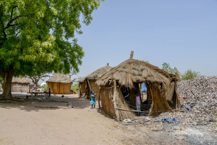 Sipo Sine Saloum Delta Senegal-1