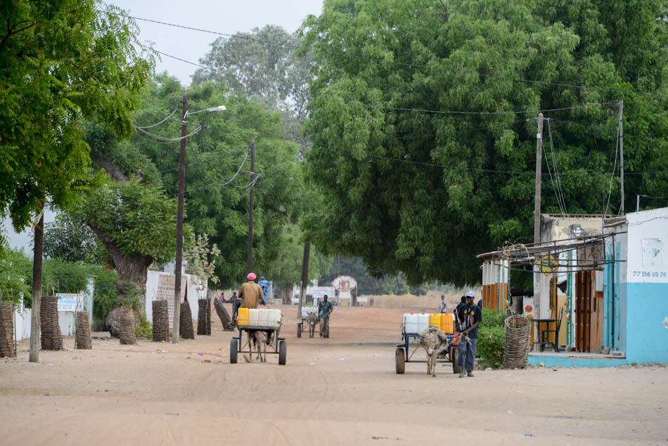 Toubacouta Senegal