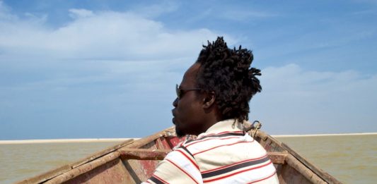 Trekvogels spotten in Langue de Barbarie langue de barbarie senegal